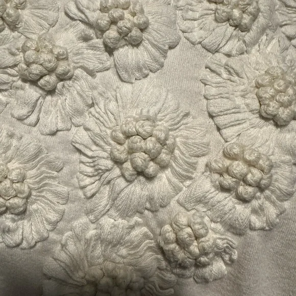 Anthropologie Embroidered Puff-Sleeve Sweatshirt - Picture 12 of 12